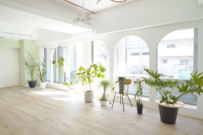 観葉植物を設置しています(移動可能) - HAIMS(ヘイムズ) レンタルスペースの室内の写真