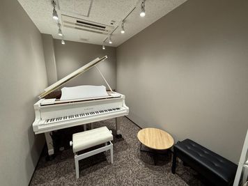 ルービー用賀 音楽ルーム（ルービー用賀【room1】）の室内の写真