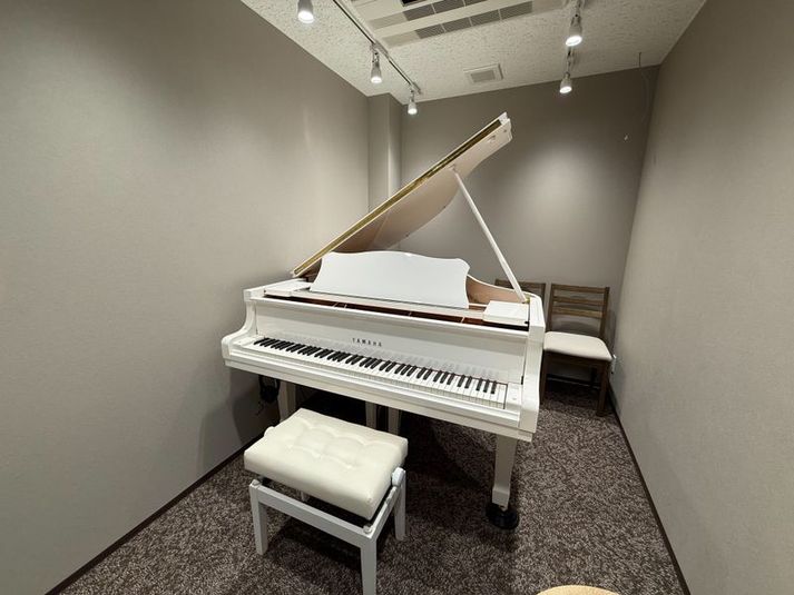 ルービー用賀 音楽ルーム（ルービー用賀【room1】）の室内の写真
