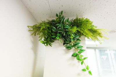 アートや植物などで癒される空間を意識して設計いたしました。 - リコアスペース 北品川 リコアスペース北品川｜会議室・セミナー・スポーツ観戦・動画撮影のその他の写真