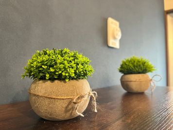 【居心地の良い空間】スタジオ内に配置されたインテリアグリーン。無人でも手入れの行き届いた清潔な環境。 - SatOn45 the STUDIO NET 中延・荏原・戸越 SatOn45 the STUDIO　ー中延・荏原・戸越ーの設備の写真