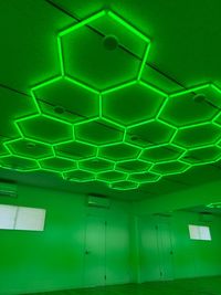 Hexagon Light 緑 - みんなのスタジオ津田沼習志野店の室内の写真