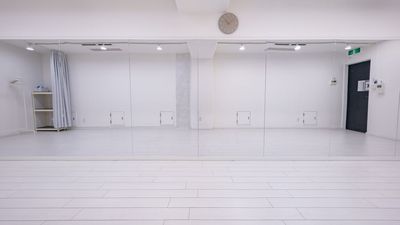 幅90㎝×高さ180㎝の大画面ミラーを9枚使用！！ - 244ダンススタジオ堺筋本町 【NEW】レンタルスタジオ　ダンス・ヨガ　堺筋本町駅徒歩5分の室内の写真