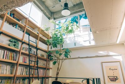 大きな吹き抜けからやわらかな自然光が降り注ぐ、印象的なロケーションです。 - 株式会社ロースター 2F オフィススタジオ (スチール撮影)の室内の写真