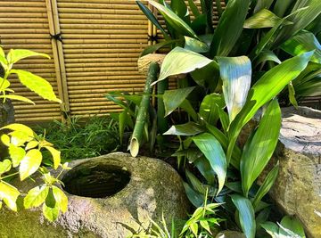 四季を感じる、日本庭園。
趣ある日本庭園。石灯籠や植栽が美しい癒しの空間。 - 【茶室ひばり】 茶室ひばり[92]のその他の写真