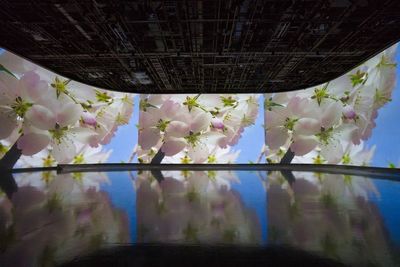 横幅25M　高さ7Mの映画スクリーン3面分投影可能なプロジェクターを完備 - 東京タワーメディアセンター 【東京タワーの麓】会議/講演会/撮影/取材/セミナー/飲食可の室内の写真