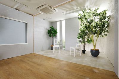 写真に写っている椅子とフェイクグリーンは無料レンタルです - LOOP HAKATA LED STUDIOの室内の写真