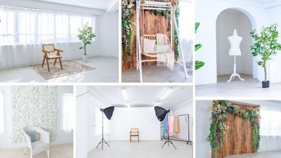 都内の白ホリ自然光 撮影スタジオ 白壁×アーチ×植物×ブランコ｜感情を引き出す光のスタジオの室内の写真