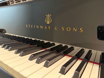 just me studio 金山Chapter.2 【Steinway & Sons B-211】room9の設備の写真
