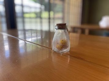 地球と身体に優しいオーガニックハウス。敷地内は除草剤不使用、室内は全館浄水と天然無垢材を使用。お子様や赤ちゃん連れも安心・安全なリラックス空間です。 - 一棟貸切古民家 Mikatana （ミカタナ） 親子ヨガ・子連れ教室｜牛窓海水浴場徒歩5分・340㎡・秘密基地の室内の写真