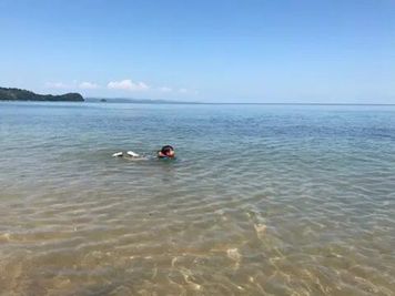 徒歩約5分で牛窓海水浴場へ！遠浅ビーチで子連れも安心。子ども用ライフジャケット550円でレンタル対応。 - 一棟貸切古民家 Mikatana （ミカタナ） 親子ヨガ・子連れ教室｜牛窓海水浴場徒歩5分・340㎡・秘密基地の設備の写真