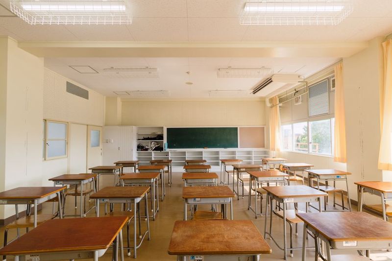 野田小学校 - 野田小学校