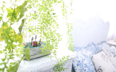Studio EASTRIVER｜イーストリバー秋葉原 本格アンティーク家具が彩る撮影スタジオの室内の写真