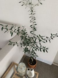 aimeroom 韓国風ハウススタジオ≪aimeroom≫の室内の写真