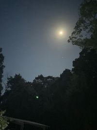 この森の梵が謳に聞こえるまで - morisoyo -の室内の写真