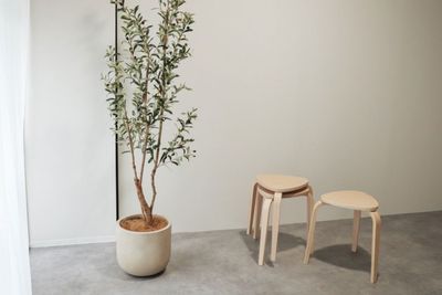 スツールチェア - OLUE STUDIO OLUE  STUDIOの室内の写真