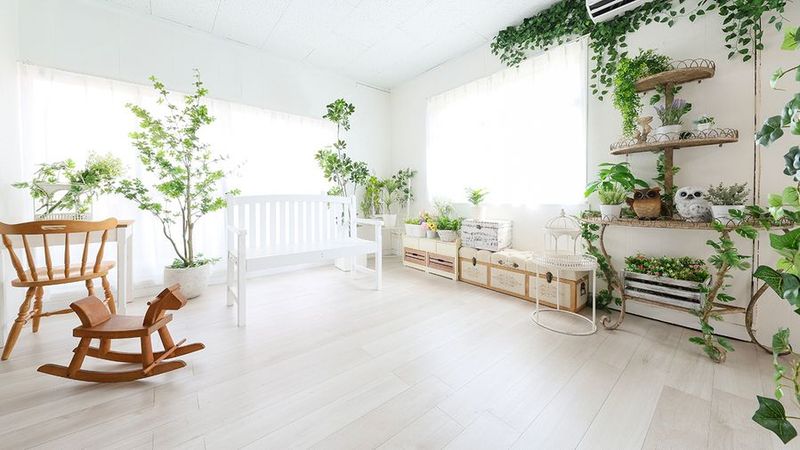 【NEW OPEN】-studio白昼夢- 町屋 - studio白昼夢