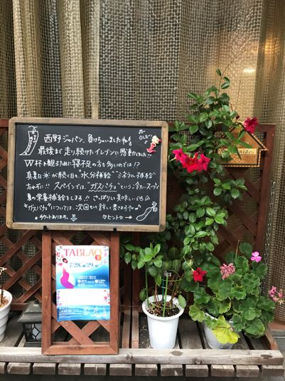 レンタルダンススタジオ - CADENA FLAMENCA