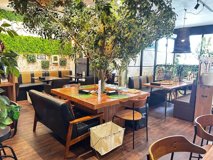 店内は大きなシンボルツリー。緑豊かな店内♪照明やBGM も自由にセット！ - 隠れ家カフェ エバーグリーン カフェレストランまるまる貸切！の室内の写真
