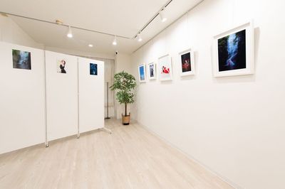 【ギャラリー・展示会に】
ワイヤーフック付4ｍx3ｍ壁面
3折パーテーションX2枚で作品展示に対応 - Studio Bloomia 緑橋駅徒歩1分【撮影スタジオ・ギャラリー ・ワークショップ】の室内の写真