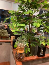 LEON'S COFFEE LEON'S COFFEEを貸切るという贅沢。in TOKYO.のその他の写真