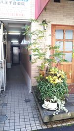 この通路からドアを開けて階段で４階へ上がります。 - スタジオ　カノン　東町店 ダンススタジオの入口の写真