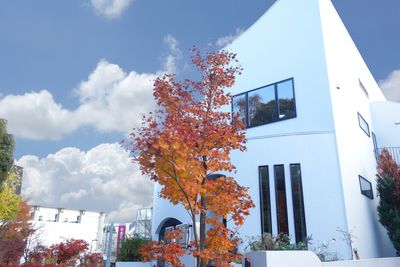 Galerie紅葉山 ギャラリースペースの外観の写真