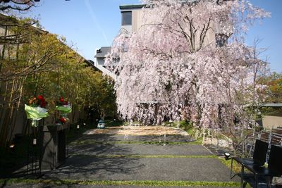 庭園・テラス席可 - 岡崎庵 宴会場・個室・舞台　（貸切可）の室内の写真