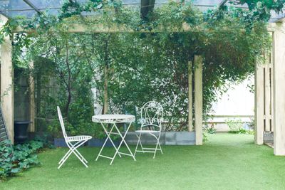 エントランスです。芝生と緑のカーテンが目印です。 - 下北沢の一軒家　スタジオレナードの室内の写真