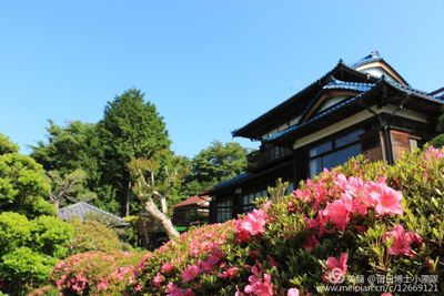 皎月山荘 撮影・ロケ地の外観の写真