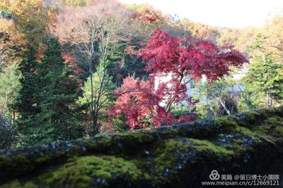 皎月山荘 茶道・華道・剣道など文化イベントの外観の写真