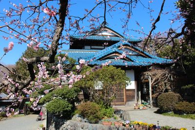 皎月山荘 茶道・華道・剣道など文化イベントの外観の写真