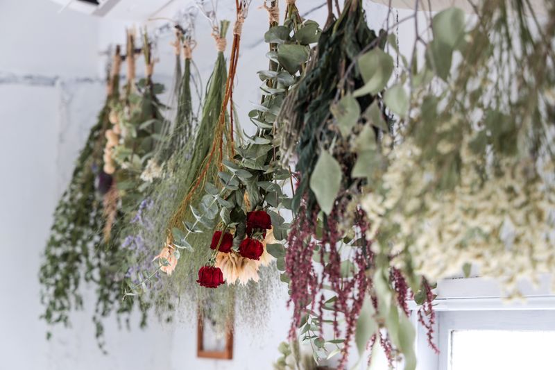 自然光ハウススタジオ - PHOTORATIO早稲田