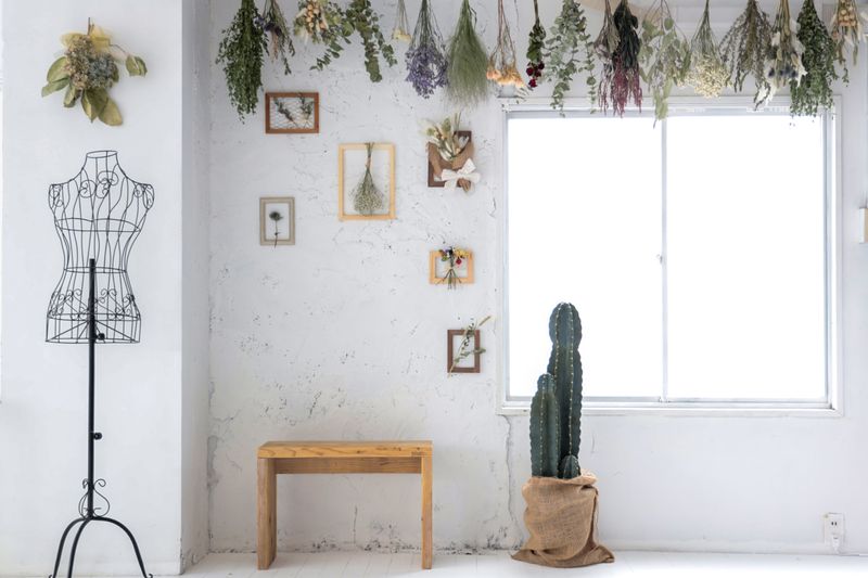 自然光ハウススタジオ - PHOTORATIO早稲田