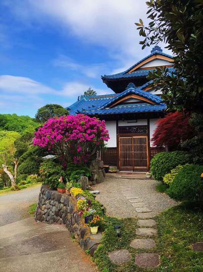 展示会・個展等 - 皎月山荘