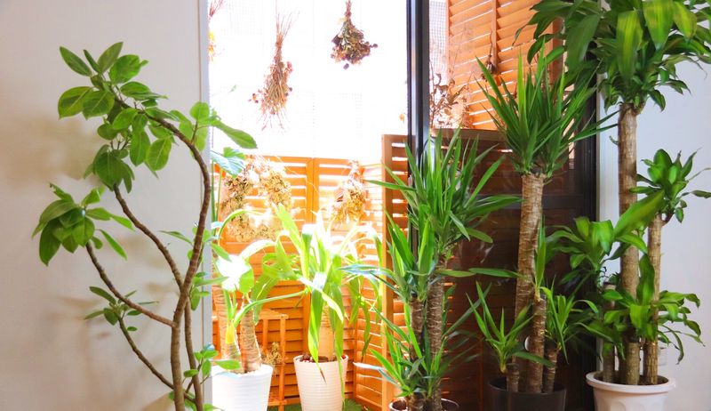 シェアサロン　美容室　面貸(レンタルスペース)  美容室　神戸 - Stazio54 