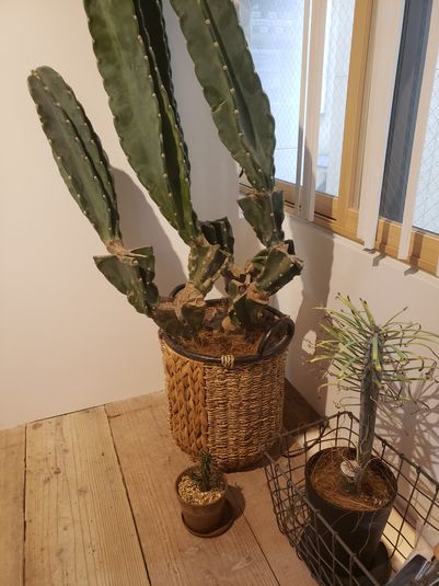 サロンスペース - SHE.