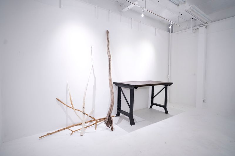 ショールーム・個展・販売・展示等 - SHOWCASE