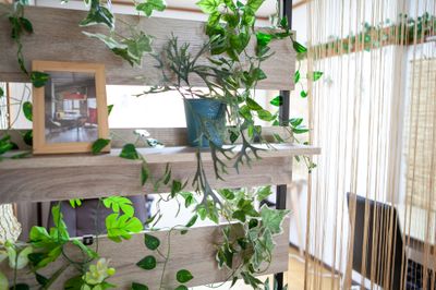 ●２階ナチュラルカフェパーテーション - 東京・王子「アイビーカフェ王子」 ２階ナチュラルカフェ／約５畳の室内の写真