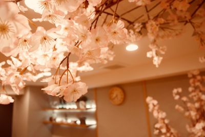 インドア花見装飾（毎年3月〜4月中旬頃） - FINEDAY浜松町の室内の写真
