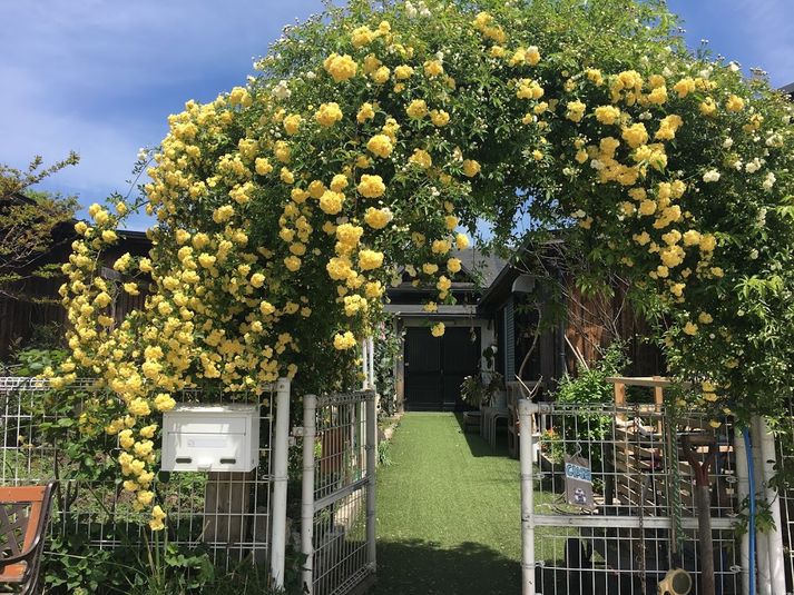 【飲食持ち込み可能！】キッズスペース　子連れ歓迎　多目的ネット有 - カフェ御結（おむすび）