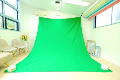 緑背景 - Mystudio柏の葉 セルフ撮影フォトスタジオの設備の写真