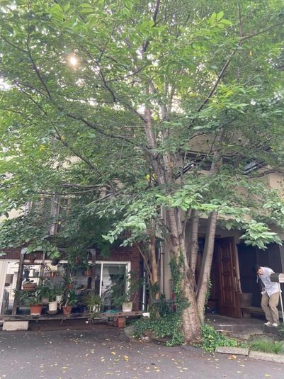 イベントスペース - 1階イベントスペース