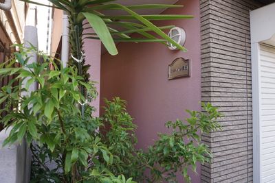 ピンクの建物です。 - 神戸レンタルサロンCHAKRA 「CHAKRA」住吉店の外観の写真