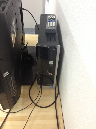 会議室 - 猫がいる会議室バンブーグローブ