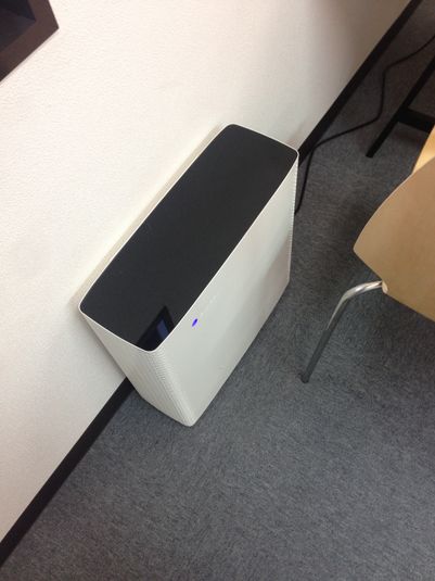 会議室 - 猫がいる会議室バンブーグローブ