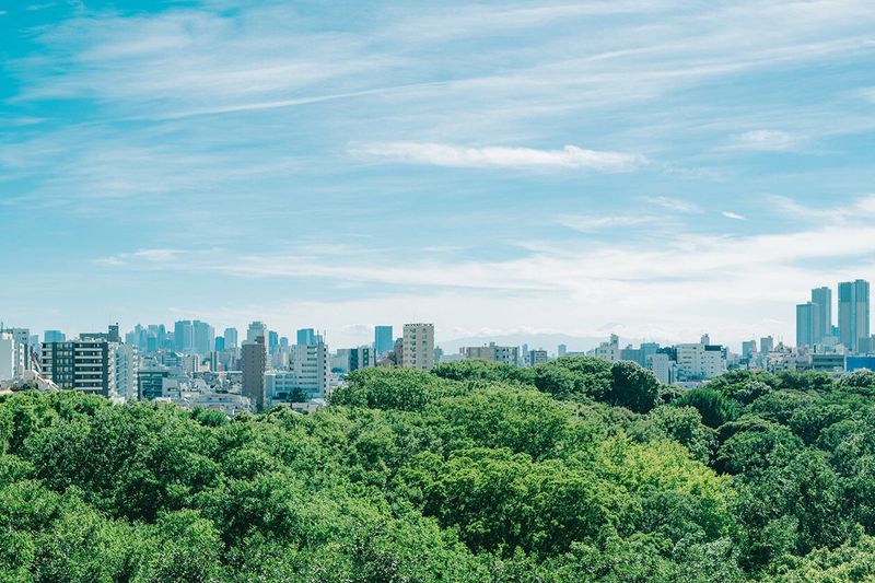 都内屈指の絶景ルーフトップ - Medic room