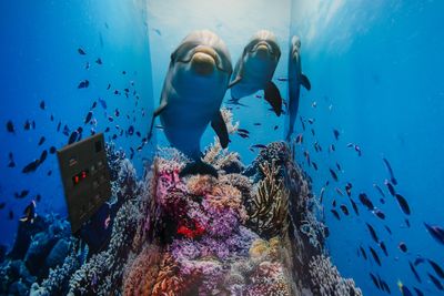 エレベーター - Dolphins Cafe テレワークやオフ会、ママ会に最適♪おこたでほっこり♪のその他の写真