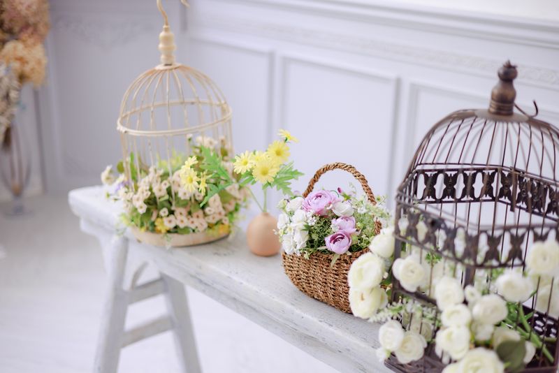 セルフ撮影フォトスタジオ - Mystudio柏の葉