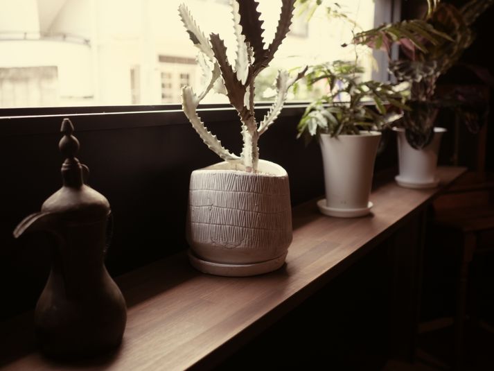 撮影スペース　ワークスペース - Litereer リテリア